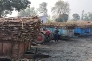 Sugarcane Farmer Problem
