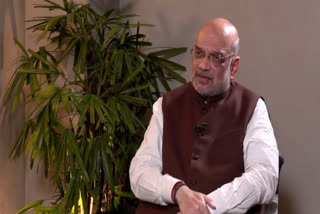 Amit Shah on opposition allegations over Hindenburg-Adani row