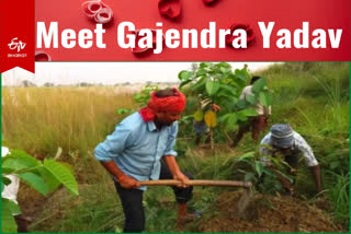 A valentine from West Champara who has planted 8 lakh samplings will stay single for his platonic love for trees which he consider as his family.