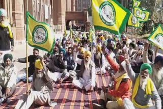 At Amritsar BKU gatherings staged a dharna in favor of the release of the captive Singhs