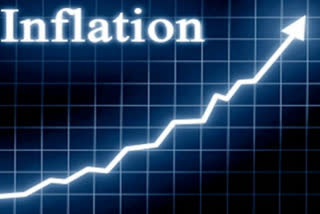 WPI inflation eases to 4.73 pc in Jan