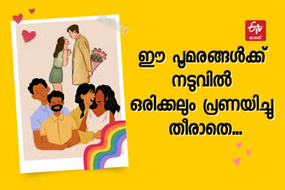 valentines day  valentines day campus special  students about valentines day  Valentine  valentines day at campus  lovers  friendship  പ്രണയദിന വിശേഷങ്ങൾ  പ്രണയദിനം  കാമ്പസിലെ പ്രണയ വിശേഷങ്ങൾ  പ്രണയം  സൗഹൃദം  മലയാളം വാർത്തകൾ  കാമ്പസ്