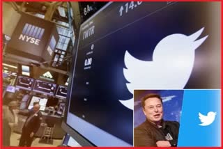 Twitter CEO Elon Musk Favor