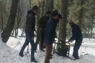 wildlife-department-trapped-a-leopard-in-gupalpora-and-released-at-rajparian-wildlife-sanctuary