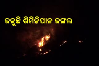fire in simlipal forest
