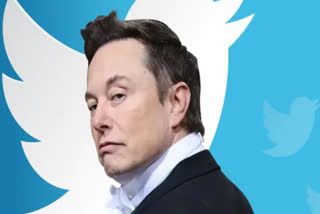 Elon Musk made his dog the new CEO of Twitter