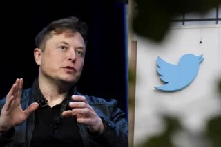 twitter  c e o  elon musk  dubai  World Government Summit  twitter updates  new world news  twitter ceo  ട്വിറ്റർ  ഇലോൺ മസ്‌ക്  ലോക ഗവൺമെന്‍റ് ഉച്ചകോടി  new tech news