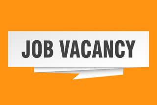 job opportunity in chhattisgarh