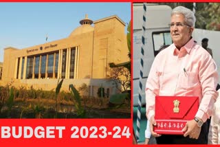 Budget 2023: 24મીએ રજૂ થનારા બજેટ પર સૌની નજર, લીલા લહેર કે પછી વધશે બોજો!