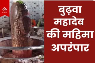 बुढ़वा महादेव मंदिर में पांच फीट का शिवलिंग