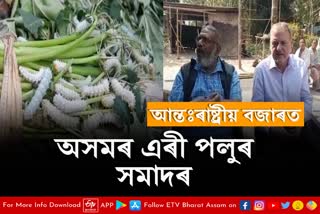 Assam silk worm occupying international market