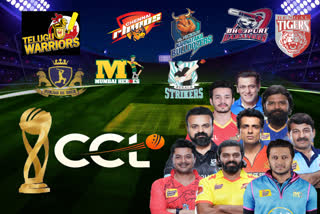 celebrity cricket league in raipur