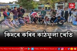 Workshop on Mushroom Cultivation