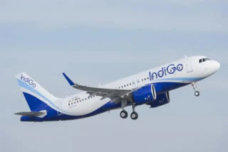 IndiGo plans flights