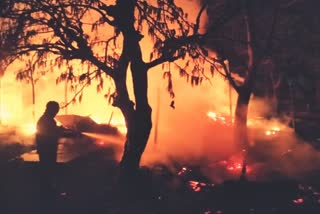 Haridwar Fire