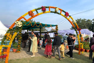 chandigarh-latest-news-chandigarh-rose-festival-start-chandigarh-rose-festival-2023