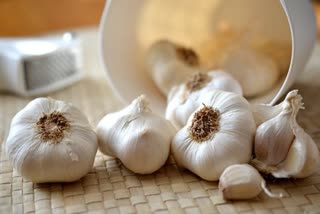Garlic Side Effect News