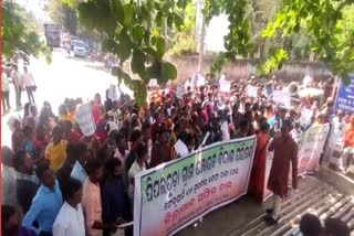 pipiliguda bikash parishad protest