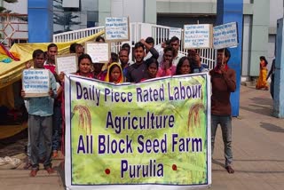 Seed farm workers agitation