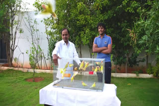 KCR giving freedom to birds on his birthday