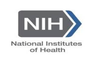 Researchers from the National Institutes of Health (NIH), US, developed the software. Verkko, which means "network" in Finnish, grew from assembling the first gapless human genome sequence, which was finished last year by the Telomere-to-Telomere (T2T) consortium, a collaborative project funded by the National Human Genome Research Institute (NHGRI), part of NIH, the study said.