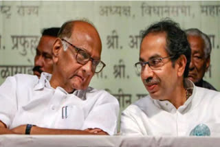 Pawar's Advice to Uddhav