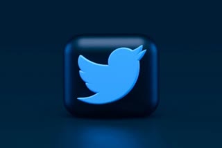 Twitter Blue Tick User