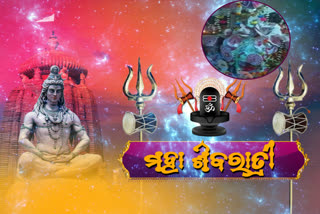 ଯାଜପୁର ମହାବିନାୟକ ମନ୍ଦିରରେ ମହାଶିବରାତ୍ରୀ