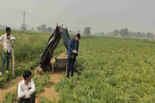 Minor dead body found in Bharatpur ,family of deceased girl allege murder