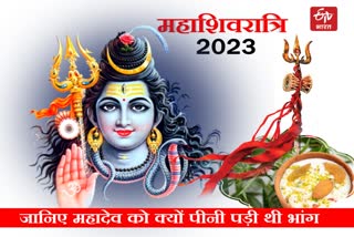 Mahashivratri 2023 Today is Mahashivaratri, know special importance of cannabis