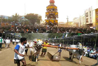 Mahashivratri celebrations