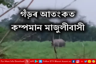 Forest department issues alert for rhino menace