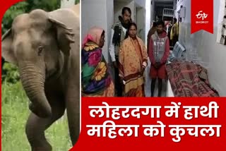 Woman crushed to death by wild elephant in Lohardaga