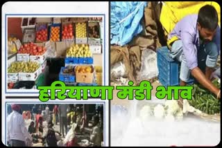 fruits and vegetables Latest prices in Haryana