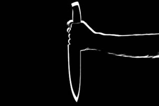 Wife chops husband, mom-in-law to pieces in Guwahati; 3 held