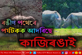 Tourists throng to enjoy the beautiful view of Kaziranga