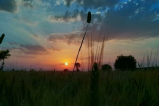 Haryana Mausam Update