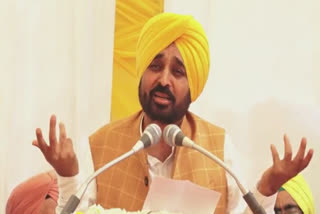 Bhagwant Maan spoke on the signing campaign of Shiromani Akali Dal and SGPC for the release of Bandi Singhs.