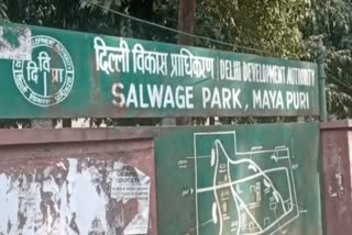 beautification work of mayapuri dda park stopped