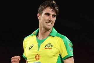 australia captain Pat Cummins returns home