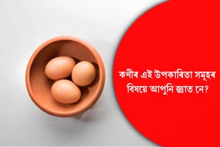 Eating eggs daily is very beneficial not only for health but also for the brain