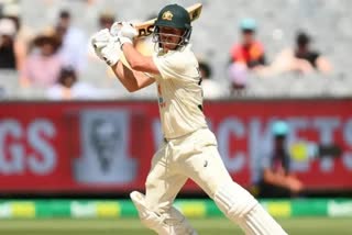 warner-ruled-out-of-indore-and-ahmedabad-tests-due-to-elbow-injury