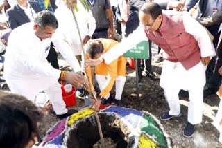 Plantation of CM Shivraj Singh