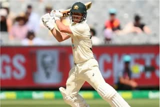 Warner ruled out of Indore and Ahmedabad Tests due to elbow injury