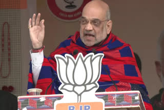 Nagaland Assembly Election 2023: Union Home Minister Amit Shah claims that PM Modi's peace talks with Nagaland will give good results