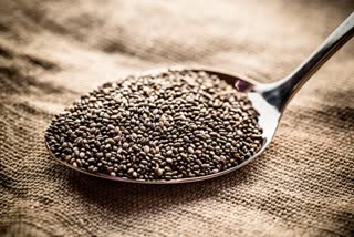 Chia Seeds News