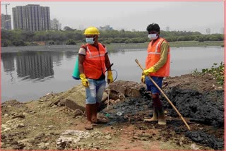 cleaning workers