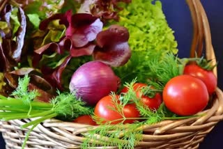 Vegetable Price in Raipur