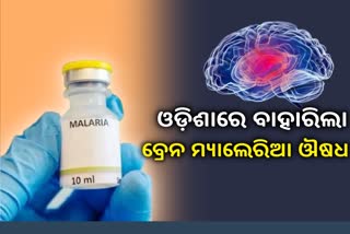 ILS Bhubaneswar discovers drugs for Cerebral Malaria