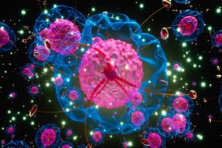 Adenovirus